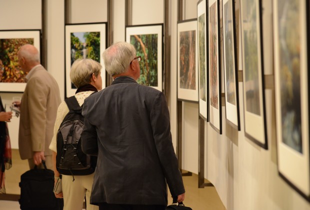 The exhibition features 14 photographs taken by Mr. Edward Stokes on the Peak, as a photographic tribute to the natural beauty on the Peak and its environs. 