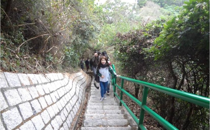 《登「绿」长洲》环境教育中心的导赏游，加强对长洲各个旅游景点丶名胜古迹的认识，及推动环境保育。